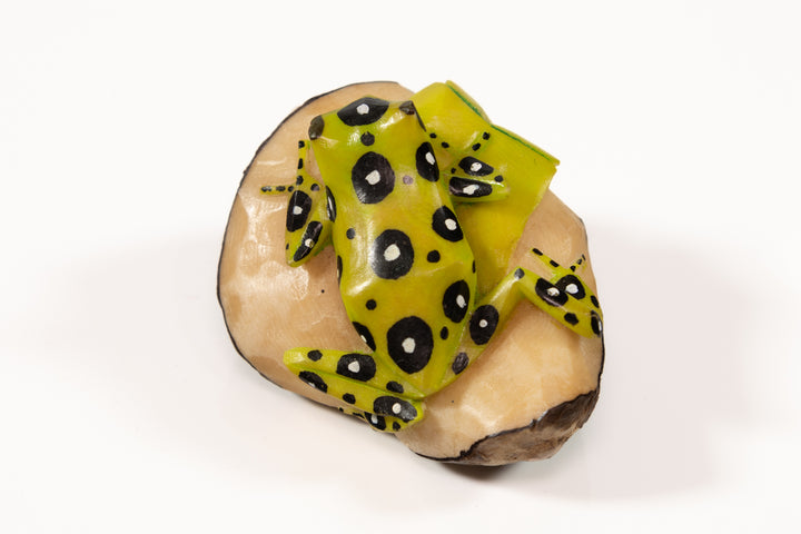 Green and Black Poison Dart Frog Tagua Carving
