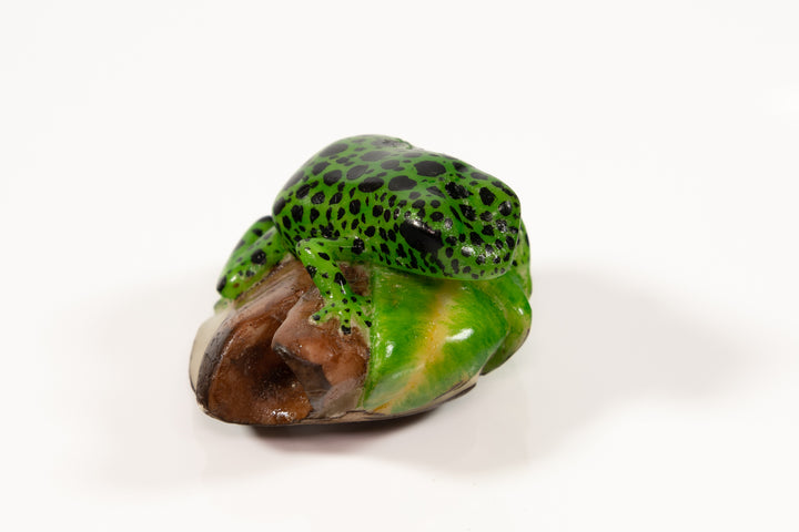 Green and Black Poison Dart Frog Tagua Carving