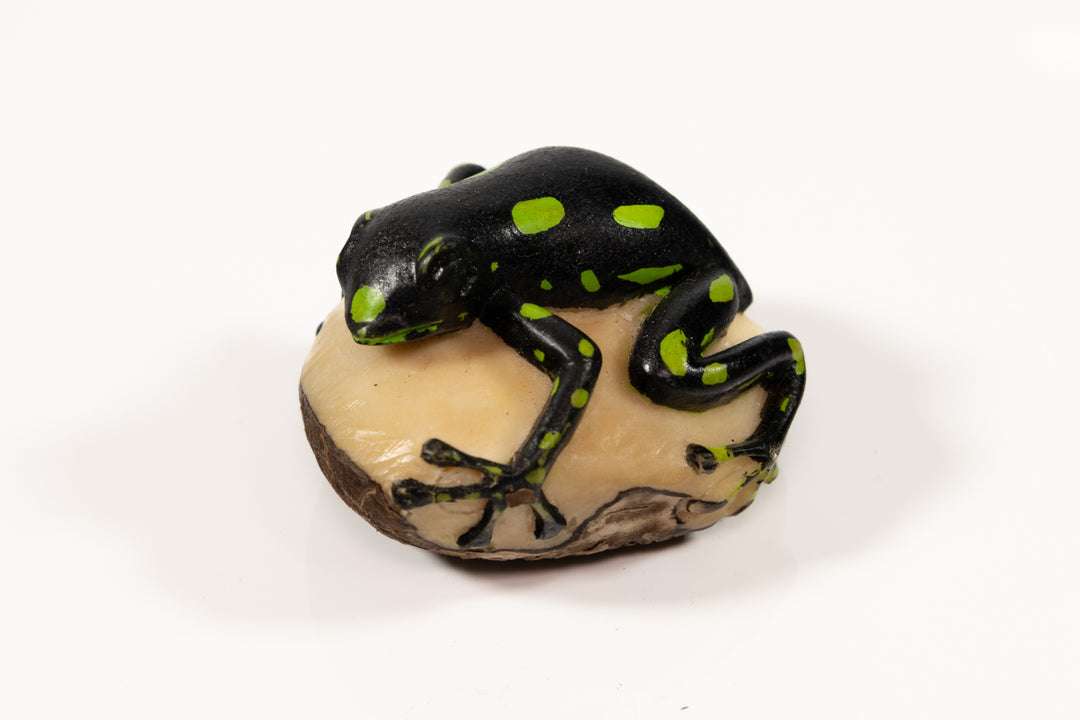 Green and Black Poison Dart Frog Tagua Carving