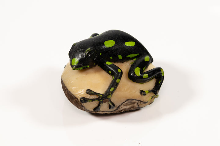Green and Black Poison Dart Frog Tagua Carving