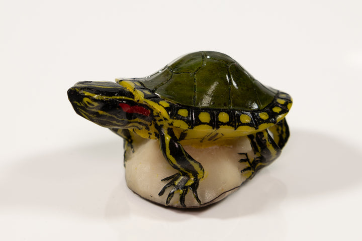 Tagua Turtle Carving