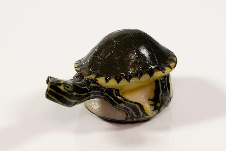 Tagua Turtle Carving