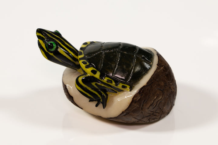 Tagua Turtle Carving