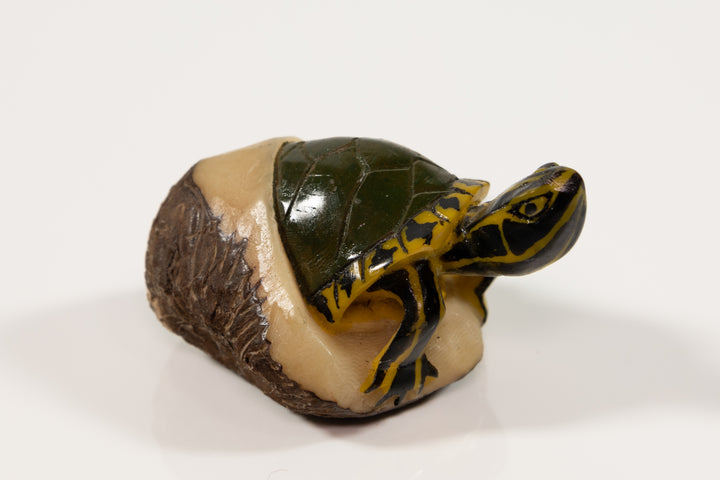Tagua Turtle Carving