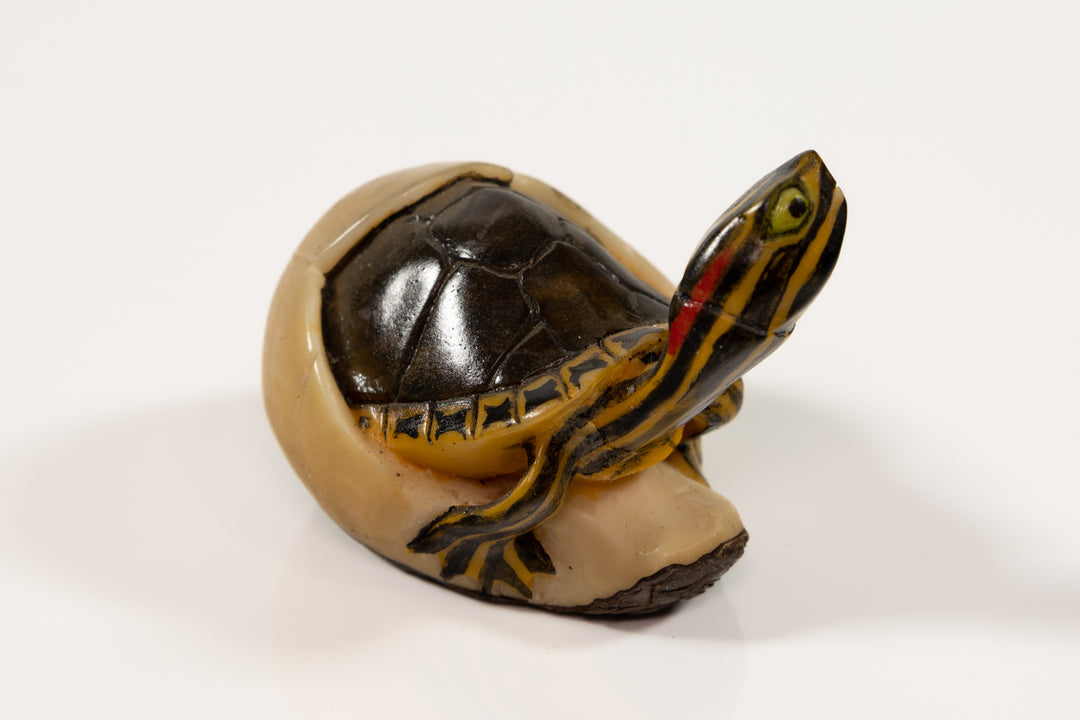 Tagua Turtle Carving