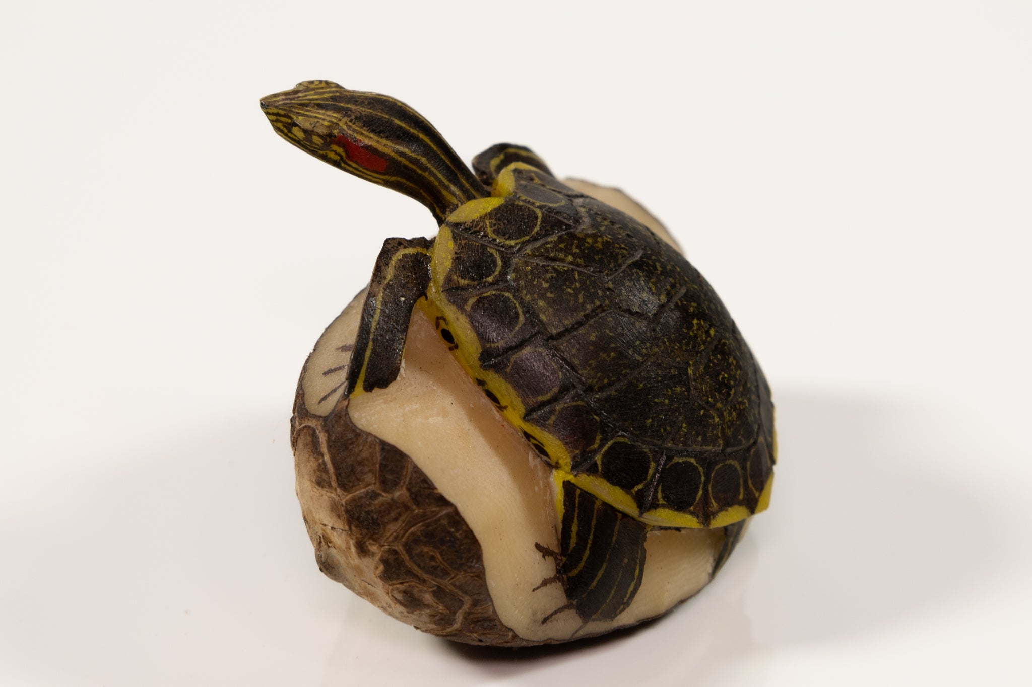 Tagua Turtle Carving
