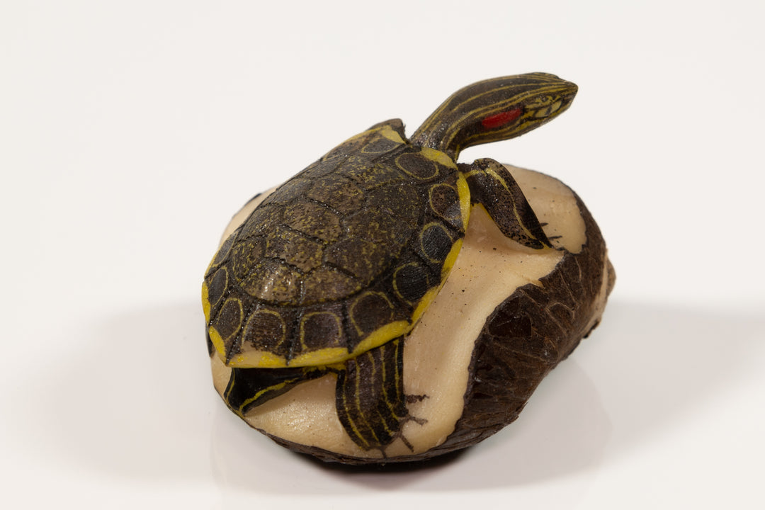 Tagua Turtle Carving