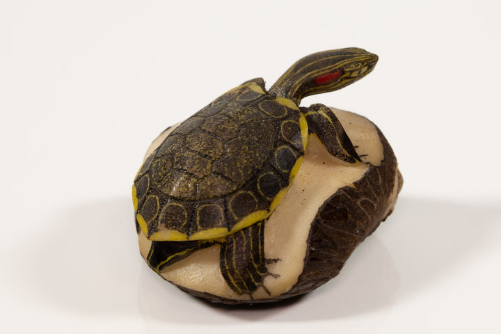 Tagua Turtle Carving