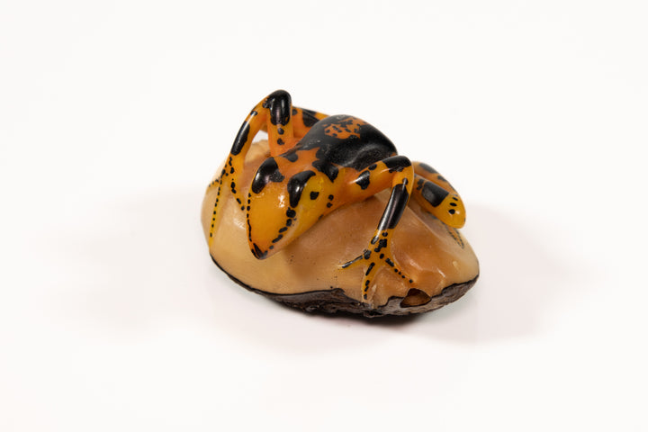 Vintage Frog Tagua Carving