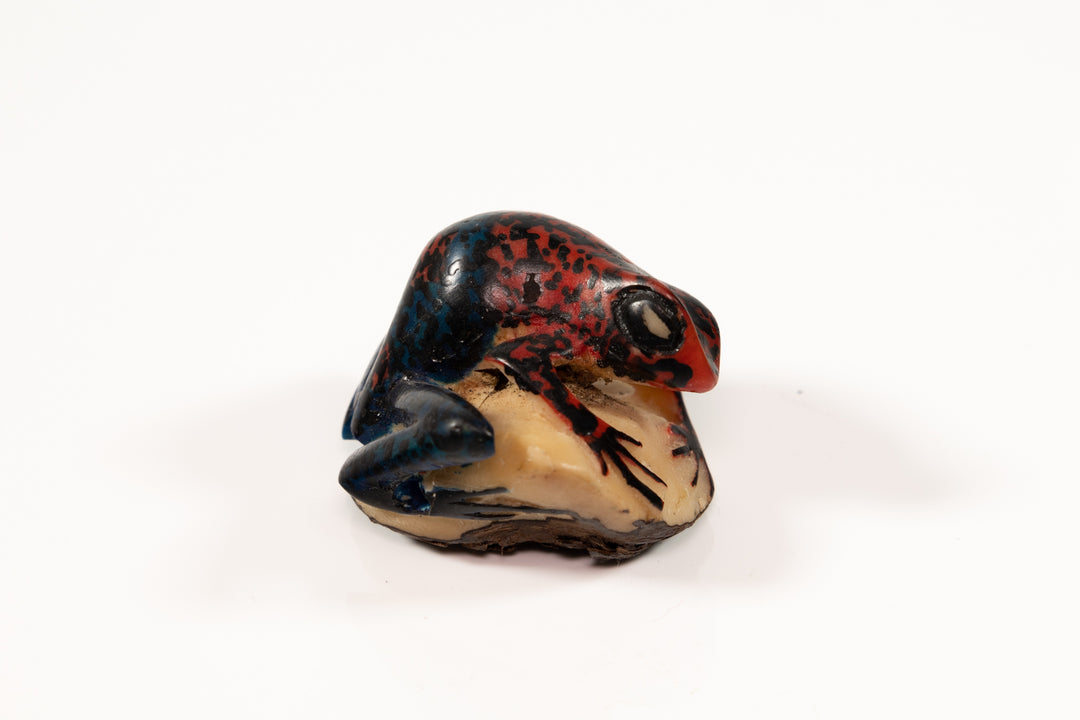 Vintage Frog Tagua Carving