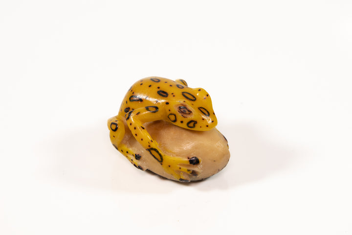 Vintage Frog Tagua Carving