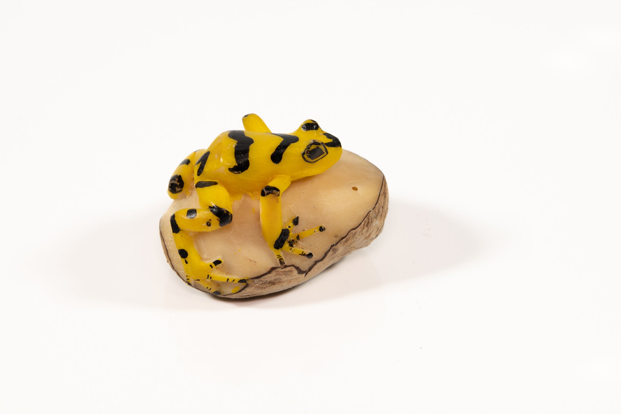 Panama Golden Frog Tagua Carving