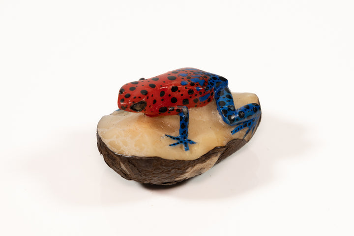 Red and Blue Poison Dart Frog Tagua Carving
