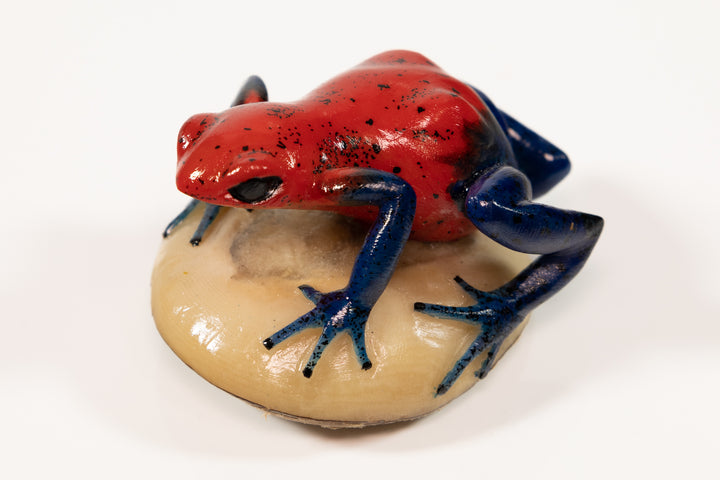 Red and Blue Poison Dart Frog Tagua Carving