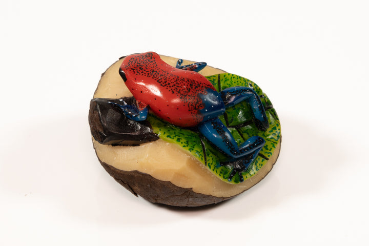 Red and Blue Poison Dart Frog Tagua Carving