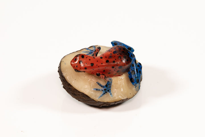 Red and Blue Poison Dart Frog Tagua Carving