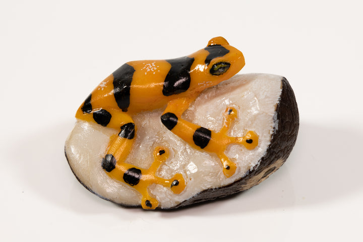 Panamanian Golden Frog Tagua Carving