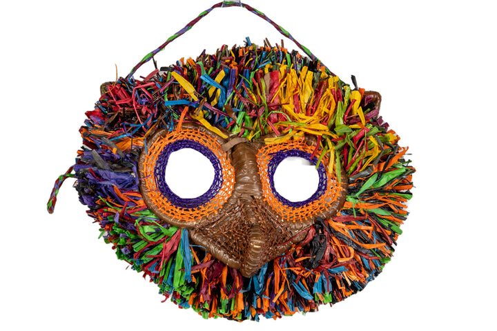 Rainbow Colors Owl Mask