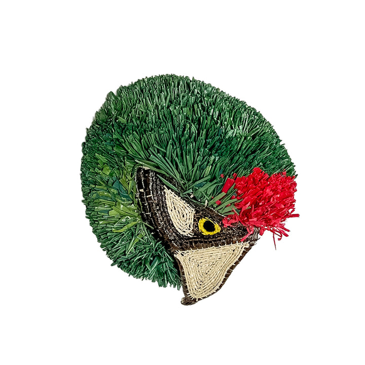 Goldie’s Lorikeet Parrot Mask