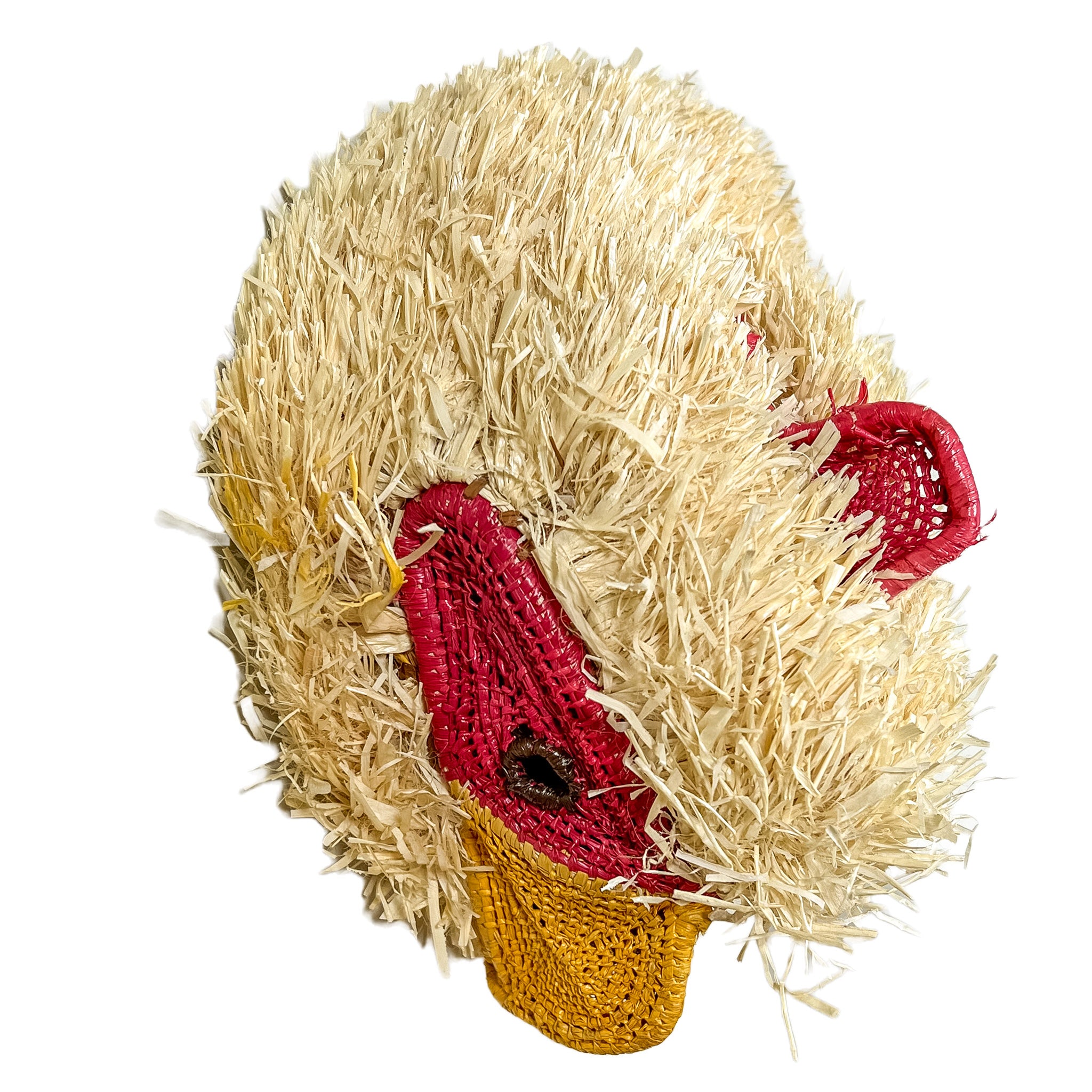 Tropical Chicken Mask