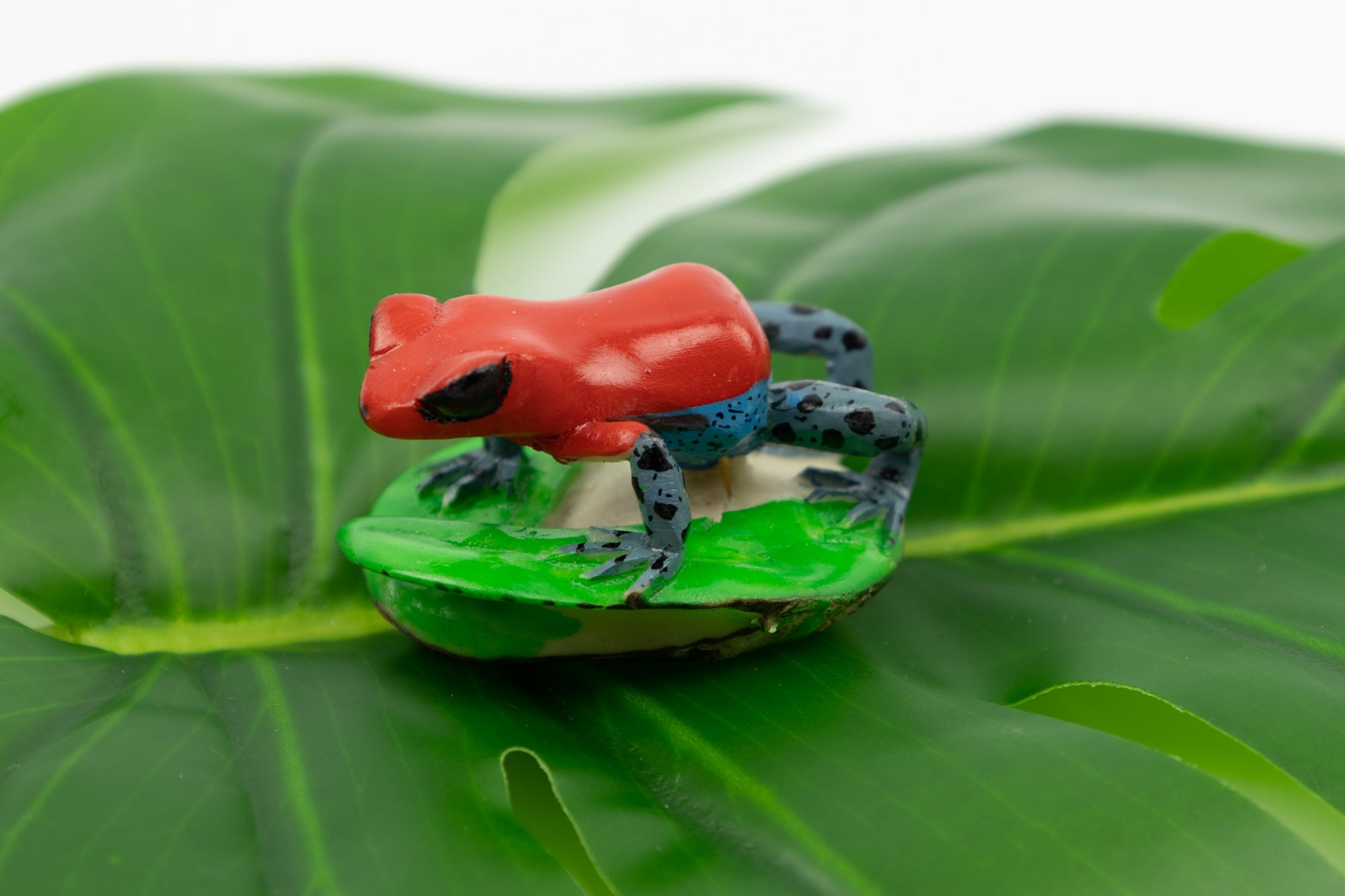 Wounaan Indian Poison Dart Frog Tagua Carving