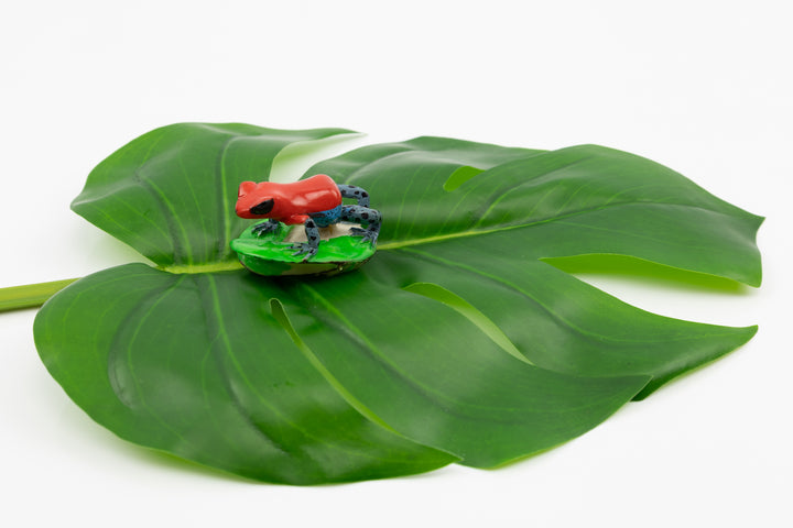 Wounaan Indian Poison Dart Frog Tagua Carving