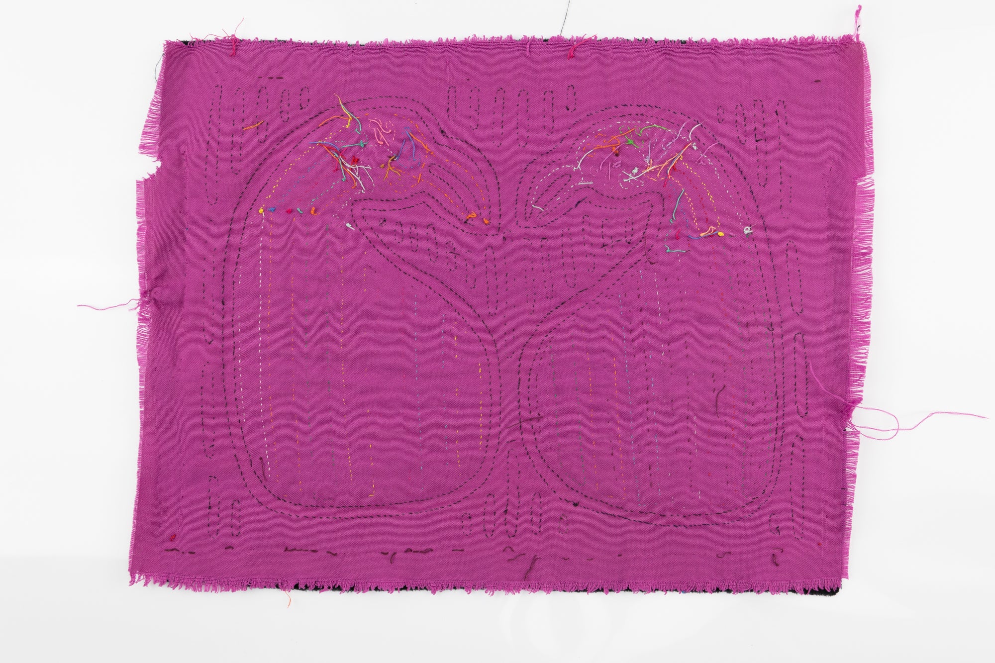 Kuna Indian Hand Stitch Gordo Gossip Bird Panama Mola Textile Art
