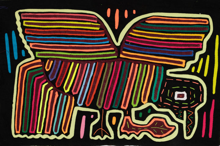 Rainbow Bird in Take Off Run Mola