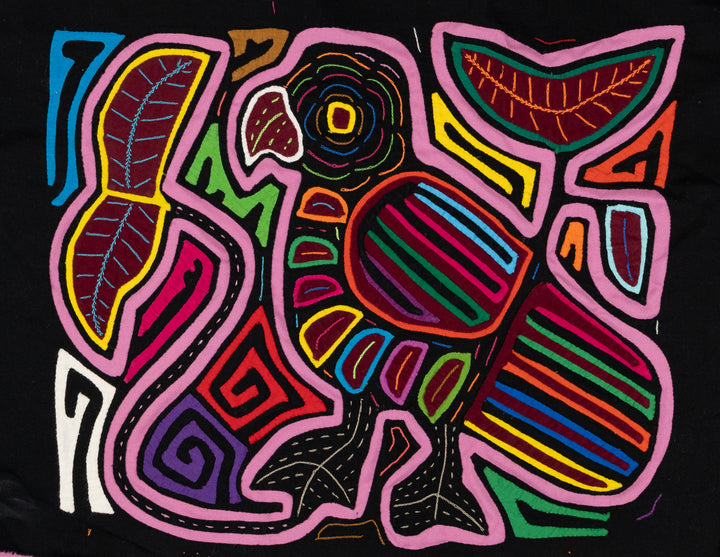 Pink Big Foot Parrot Bird Mola