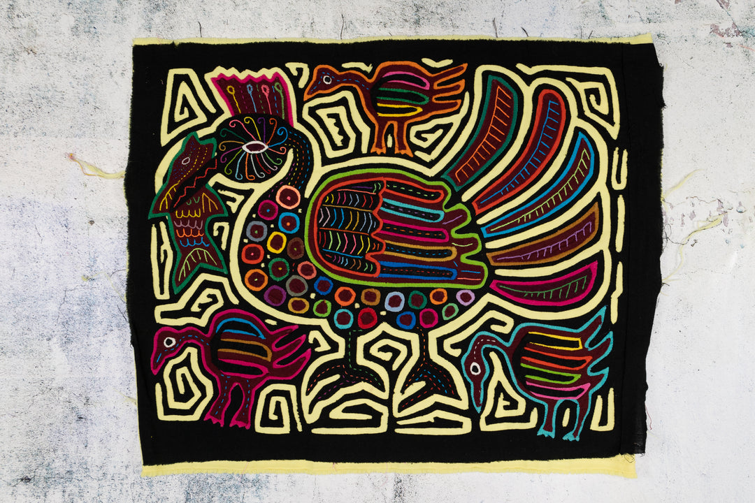 King of the Kingfisher Breed Mola
