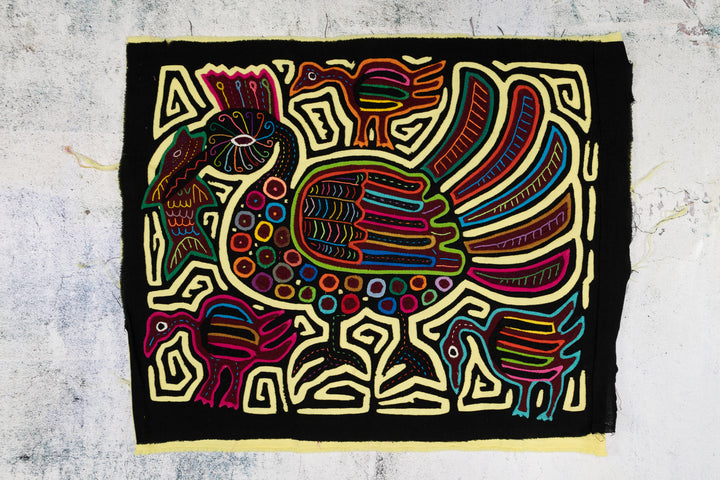 King of the Kingfisher Breed Mola