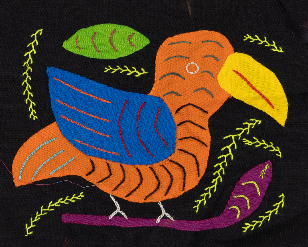 Orange Blue Wing Bird Molita