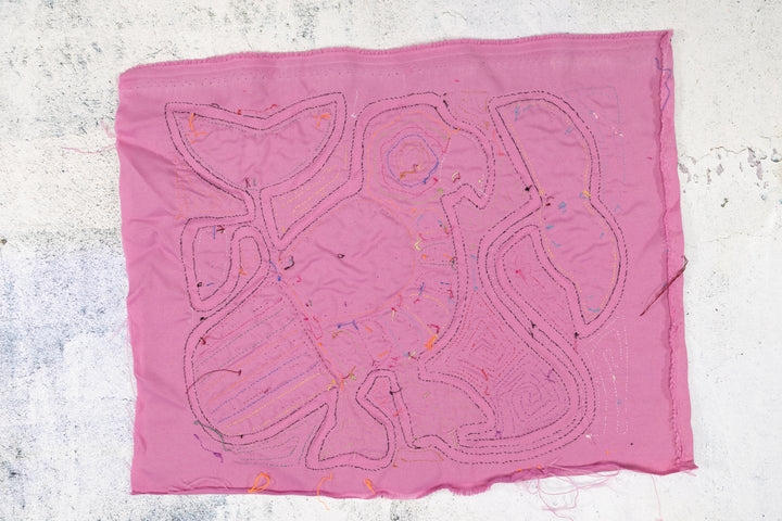 Pink Big Foot Parrot Bird Mola