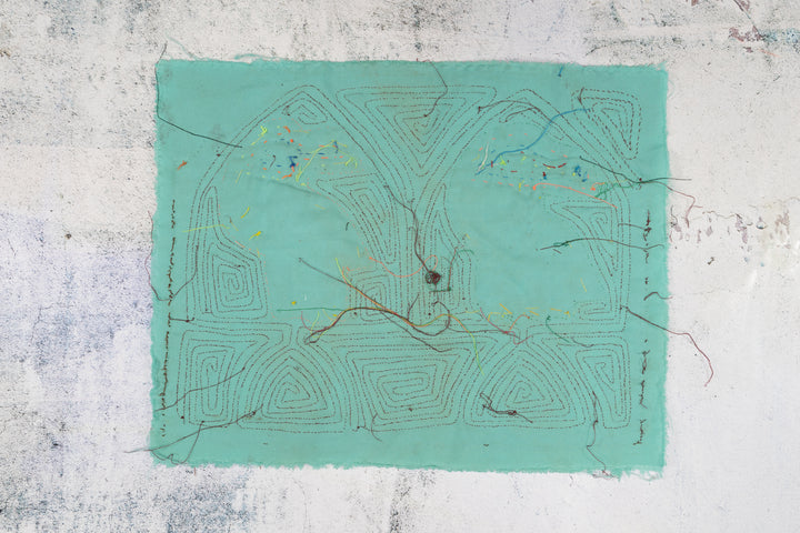 Turquoise Penquin Maron Backgroud Mola