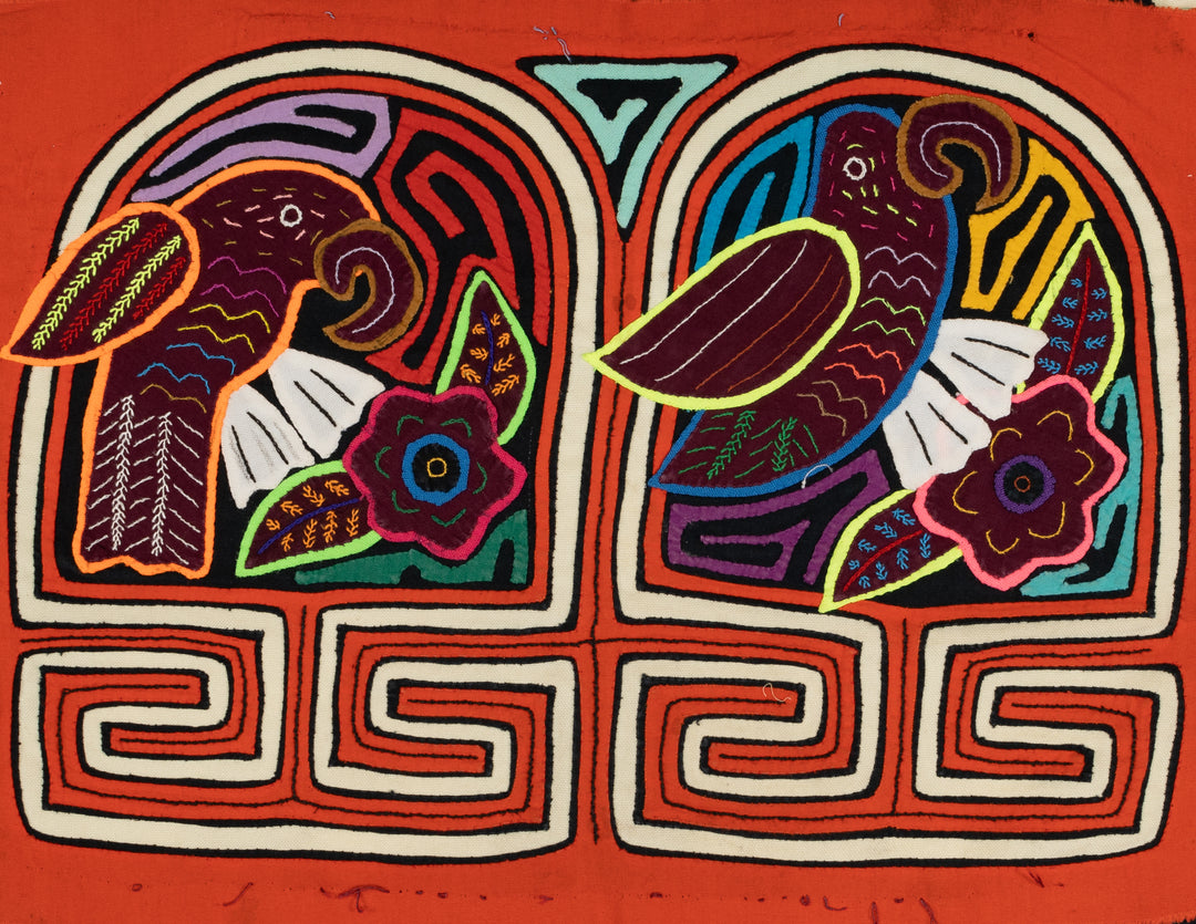 Orange and White Parrot Bird in Birdcage Mola