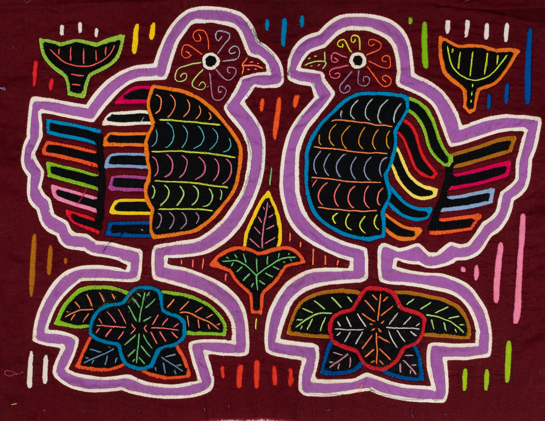 Rainbow Pigeon Dove Bird Mola