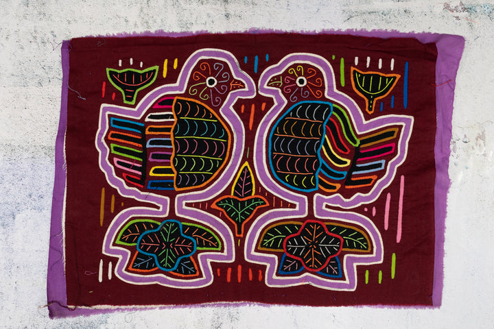 Rainbow Pigeon Dove Bird Mola