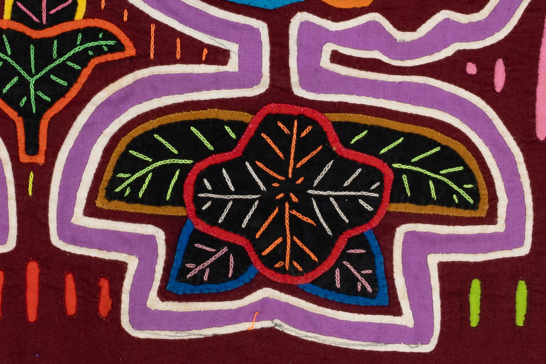Rainbow Pigeon Dove Bird Mola