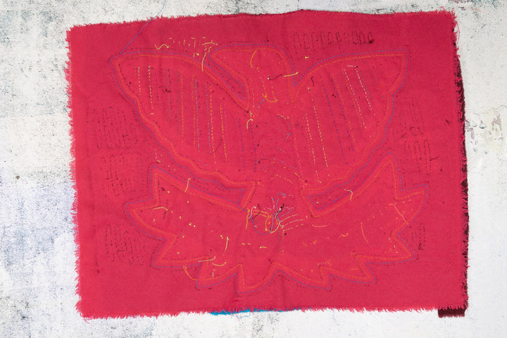 Burgundy Pink Soaring Thunderbird Mola