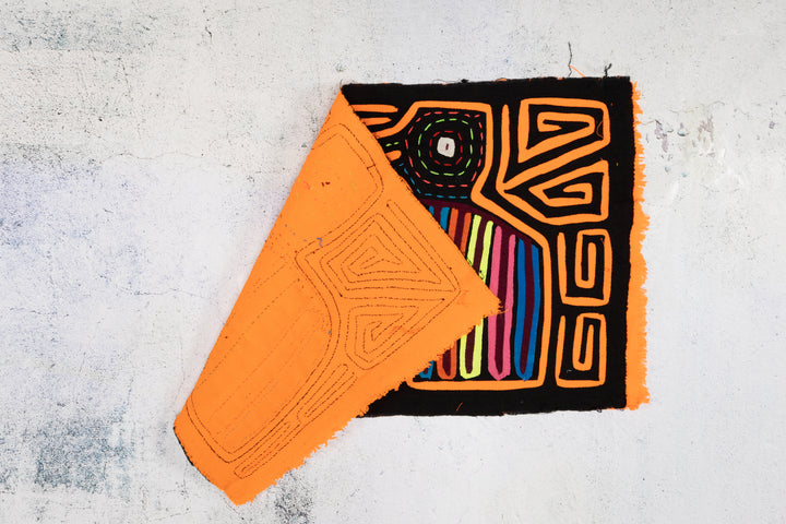 Black And Orange Gossip Bird Mola