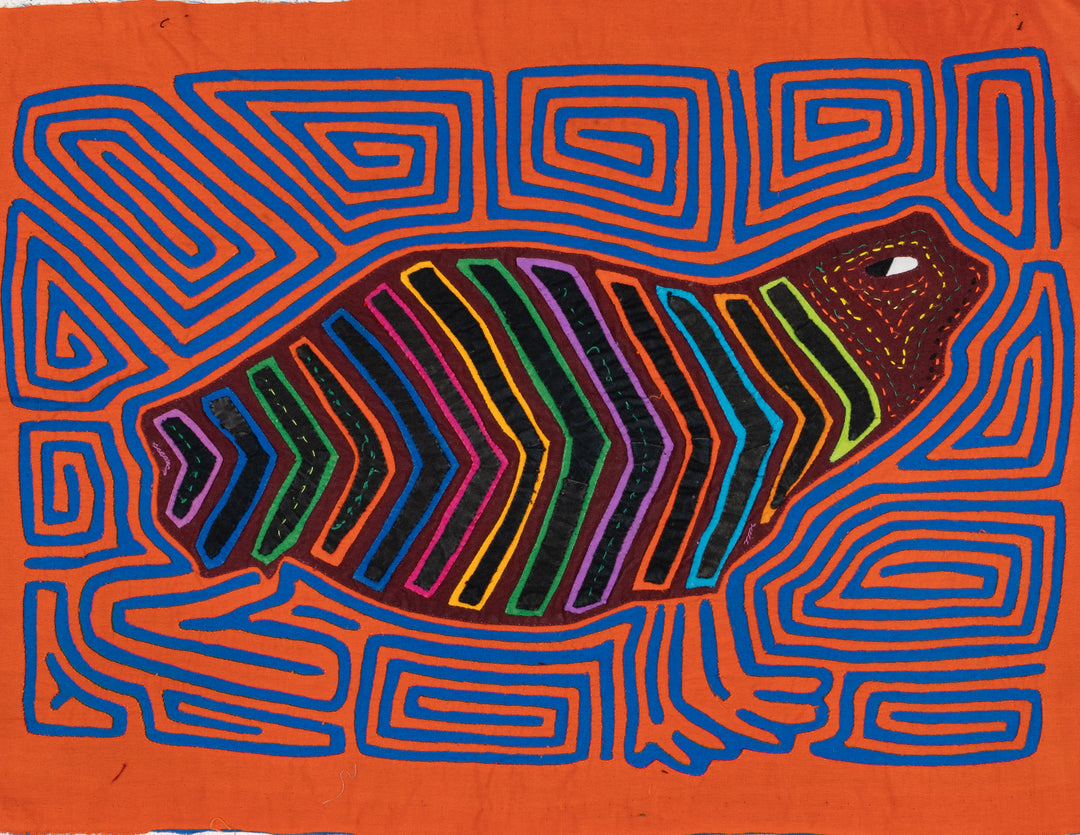 Rainbow Beluga Whale Mola