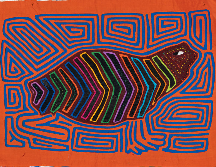 Rainbow Beluga Whale Mola