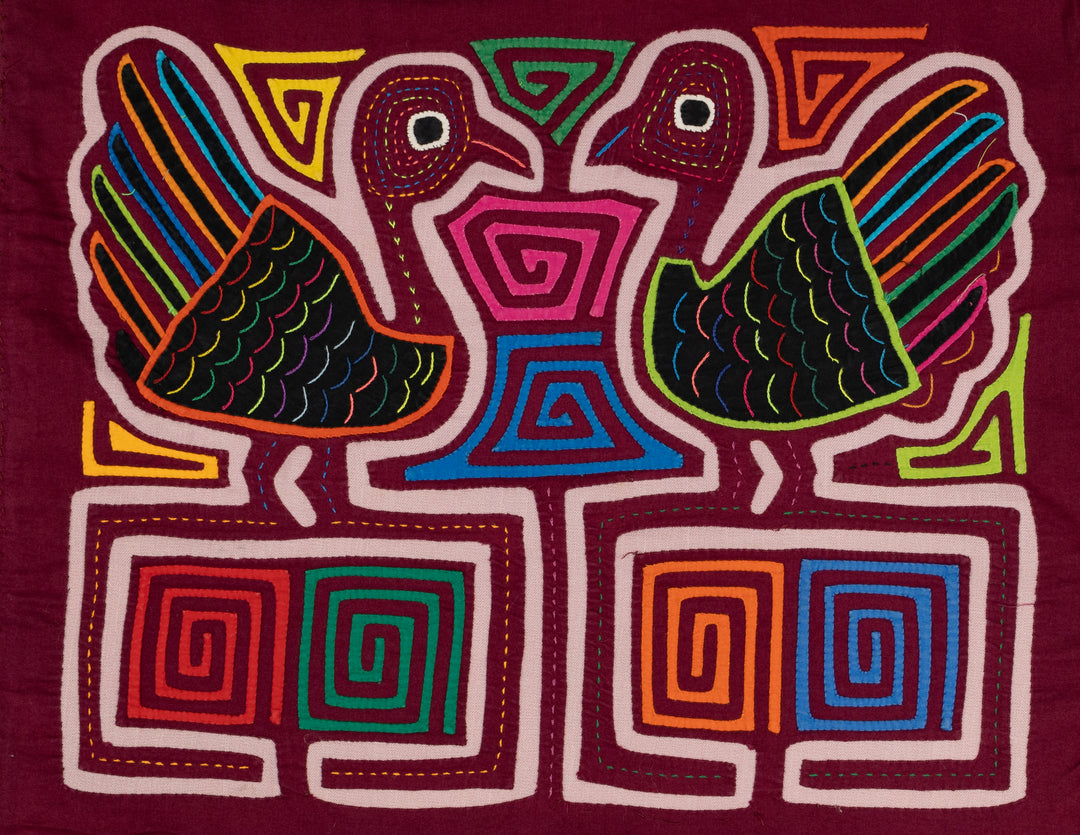 Turkey Bird Encounter Mola