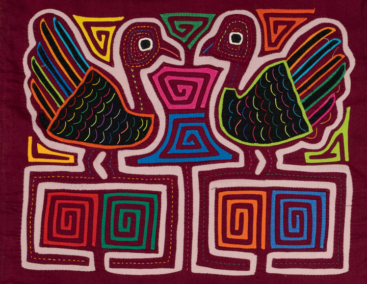 Turkey Bird Encounter Mola