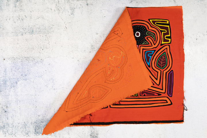 Orange Blue Purple Parrot Bird Mola