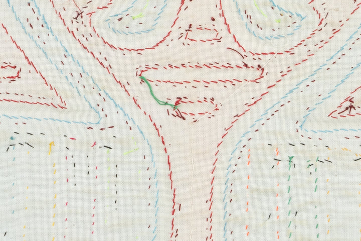 Flamingo Bird Mola