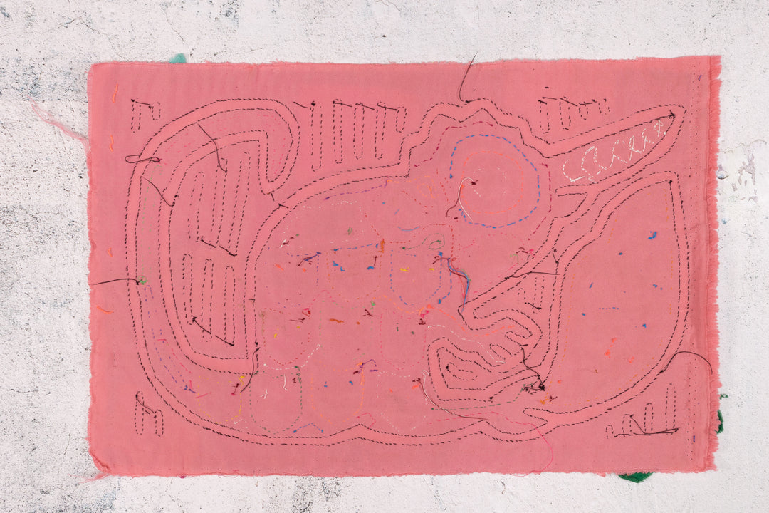 Pink Pinocchio of the Jungle Mola