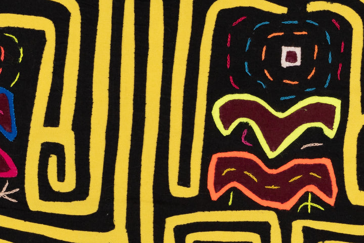 Yellow Cyclop Mola