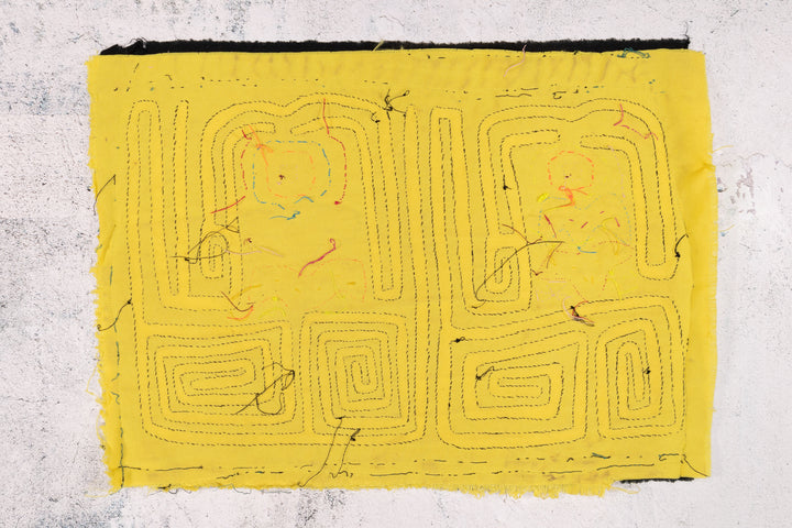 Yellow Cyclop Mola