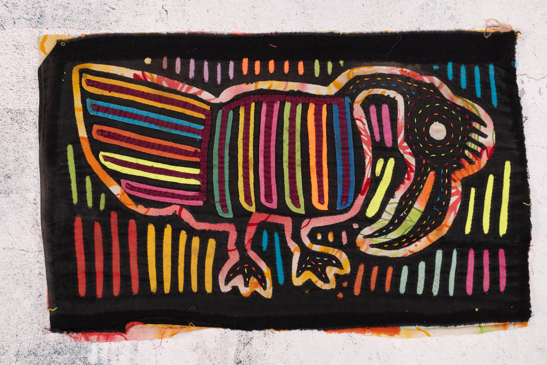 Rainforest Jungle Hungover Late Night Bird Mola